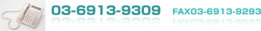 TEL03-6913-9309